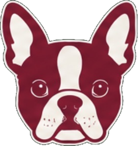 Pixie, the studio Boston terrier